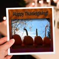 thumbnail image 7 of 3drose, Thanksgiving Pumpkins, 12 Greeting Cards with Envelopes, 7 of 7