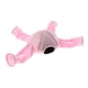 thumbnail image 4 of de Jugar Tubo Mascota para Cerdo Accesorios Jaula Casa de Conveniente - Rosa rosado, 4 of 9