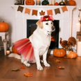 thumbnail image 4 of Thanksgiving Dog Costume Set Turkey Hat with Dog Tutu Skirt for Small Medium Dog Cat Thanksgiving Accessories, 4 of 6
