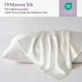 thumbnail image 3 of Mulberry Park 19 Momme 100% Silk Pillowcase for Hair and Skin – King 20" x 36", Zipper Closure, Ivory, 3 of 8