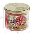 thumbnail image 4 of 14 Oz 3 Wick Jar Candle With Metal Lid (Christmas Cranberry) - Set of 2, 4 of 4