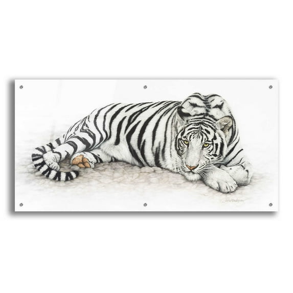 Epic Art 'Siberian Tiger' by Jan Henderson, Acrylic Glass Wall Art, 48"x24"