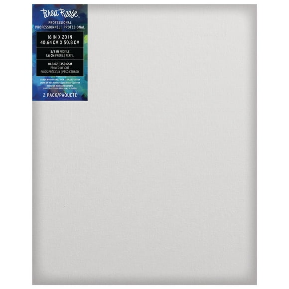 Brea Reese Toile Professionnelle: 40.64x50.8 cm,