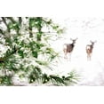 thumbnail image 2 of Tyrrell, Lu Anne 24x17 Black Ornate Wood Framed with Double Matting Museum Art Print Titled - Winters Dream, 2 of 4