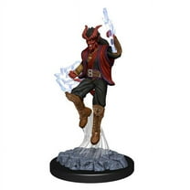 D&D Nolzur`s Marvelous Unpainted Miniatures: Male Tiefling Sorcerer