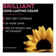 thumbnail image 2 of 2X - Garnier Olia Oil Powered Ammonia Free Permanent Hair Color 6.0 Light Brown - 1 kit, 2 of 5