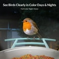 thumbnail image 4 of Bird Camera,  Netvue Birdfy Smart Bird Feeder Camera with Solar Panel for Outdoor Bird Watching, 4 of 10