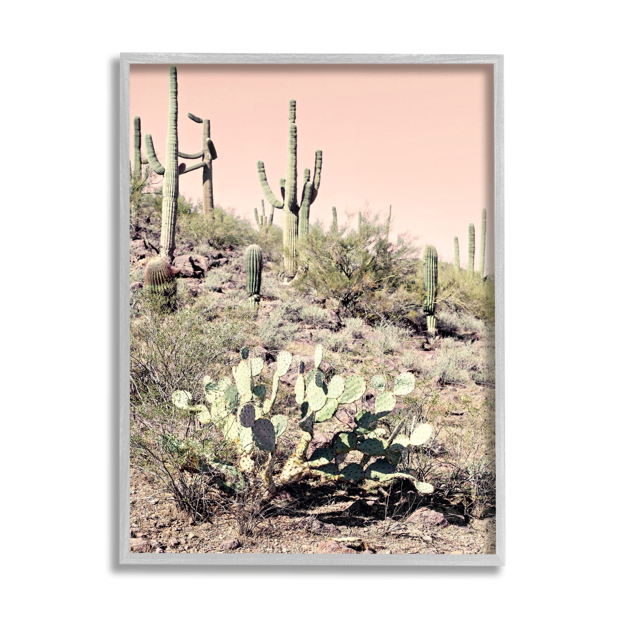 Stupell Industries Summer Dessert Landscape Cactus Prickly Pear Pink Sky, 24 x 30, Design by Susan Bryant
