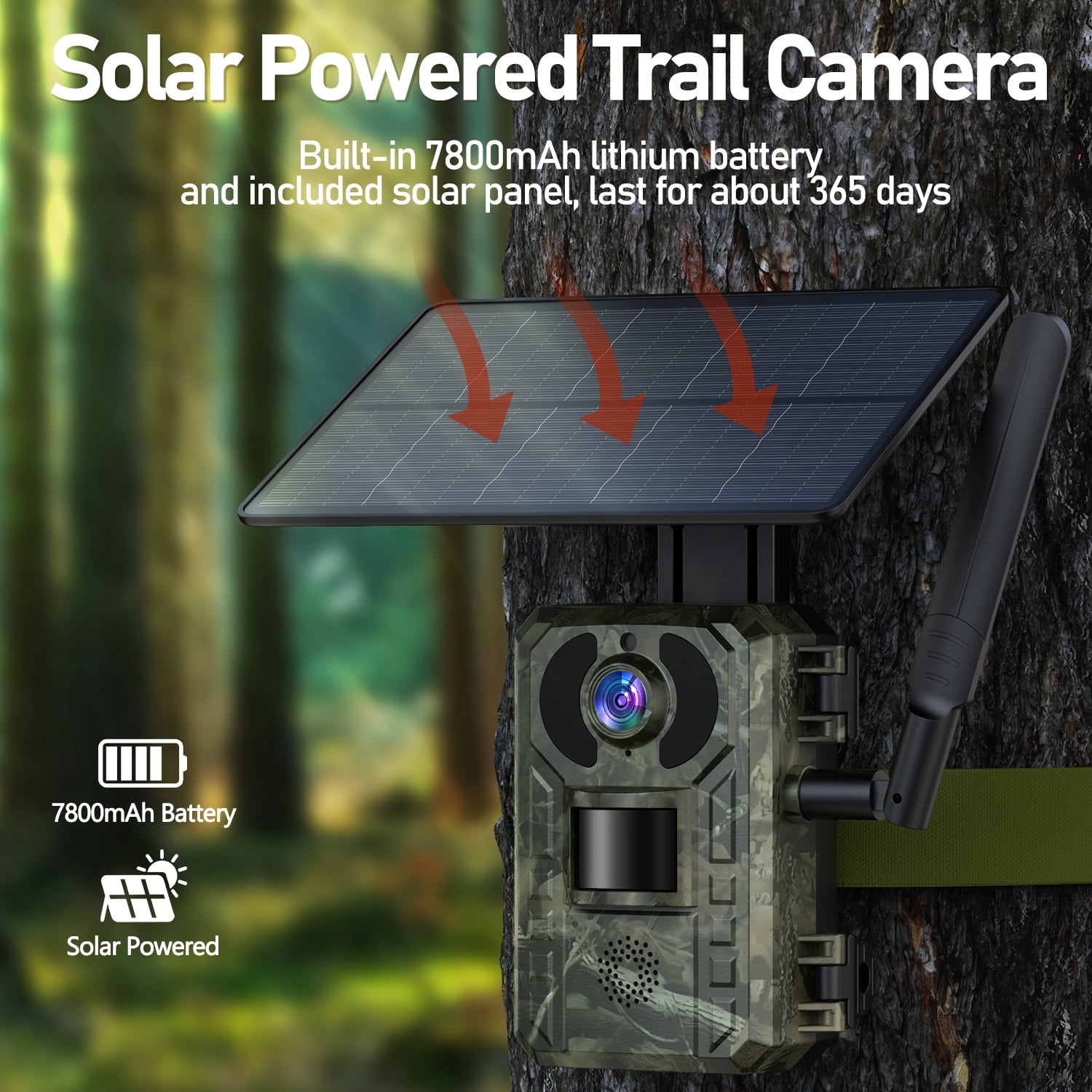 CAMPARK Trail Camera with 4G Cellular Solar, 2.5K 14MP Hunting Game Camera with Live View and Motion Alerts, 940nm No Glow Night Vision and IP66 Waterproof for Wildlife Monitoring