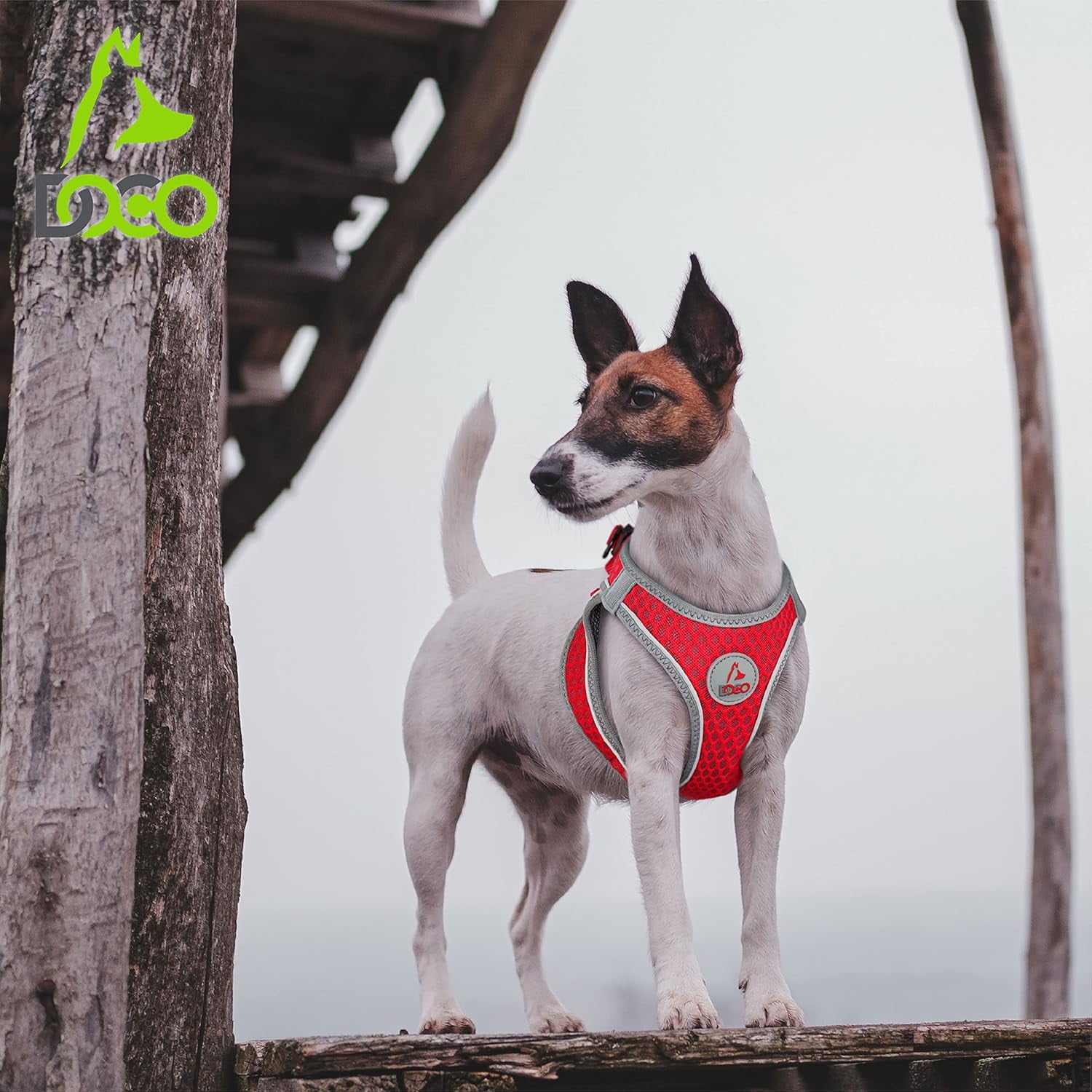 DOCO Dog Harness (Chest 18.5"-19.5", Weight 15–20 lbs) Athletica Adjustable Heavy Duty No Choke Puppy Vest for Large Dogs Lightweight Air Mesh, Reflective, Puppy Essentials – Lime, Large