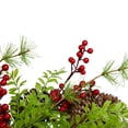 thumbnail image 4 of Northlight Frosted Pine Cones and Berries Small Artificial Christmas Wreath - 18" - Unlit, 4 of 4