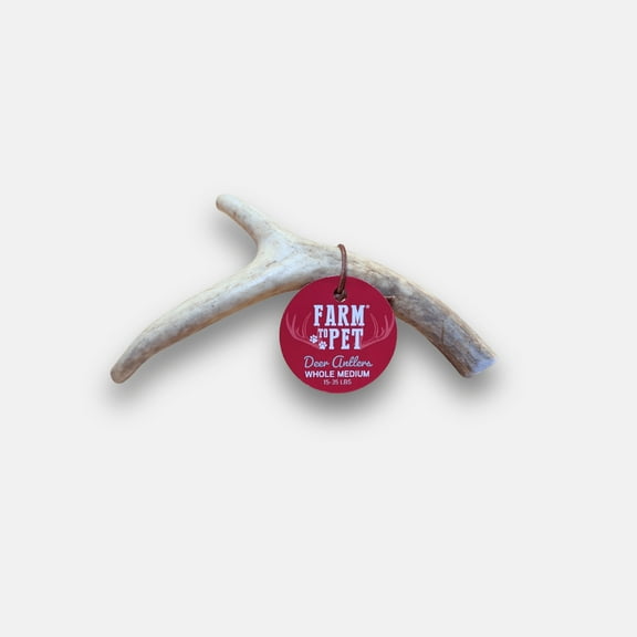 Farm To Pet Whitetail Deer Antlers Medium All-Natural Chews for Dogs
