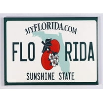 Florida License Plate Fridge Collector's Souvenir Magnet 2.5" X 3.5"