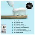 Mint Toothpaste (2) - Oral care for personal care retailers - Walmart ...