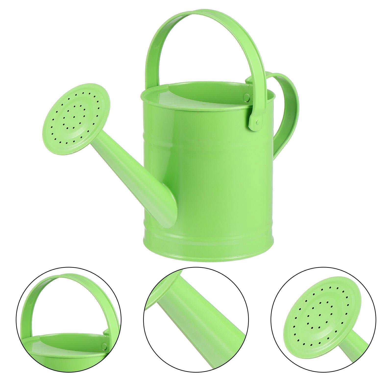 NUOLUX Metal Watering Can for Indoor and Outdoor Plants, Small Garden Flower Pot Sprayer with Spout, Decorative and