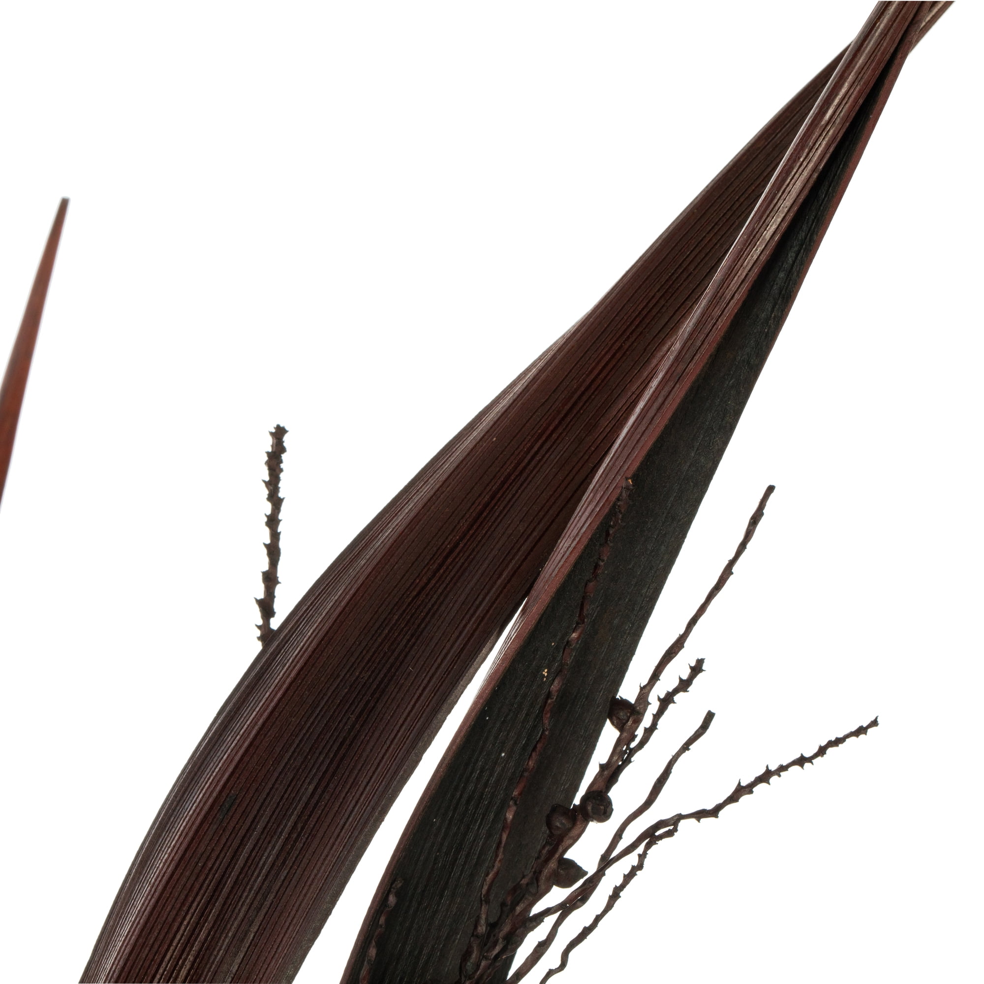 Vickerman 36" Dark Brown Bahia Spears Seeded, 9 stems, Dried