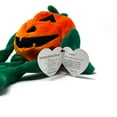thumbnail image 4 of TY Beanie Baby Collection Pumpkin Plushlush, 4 of 6
