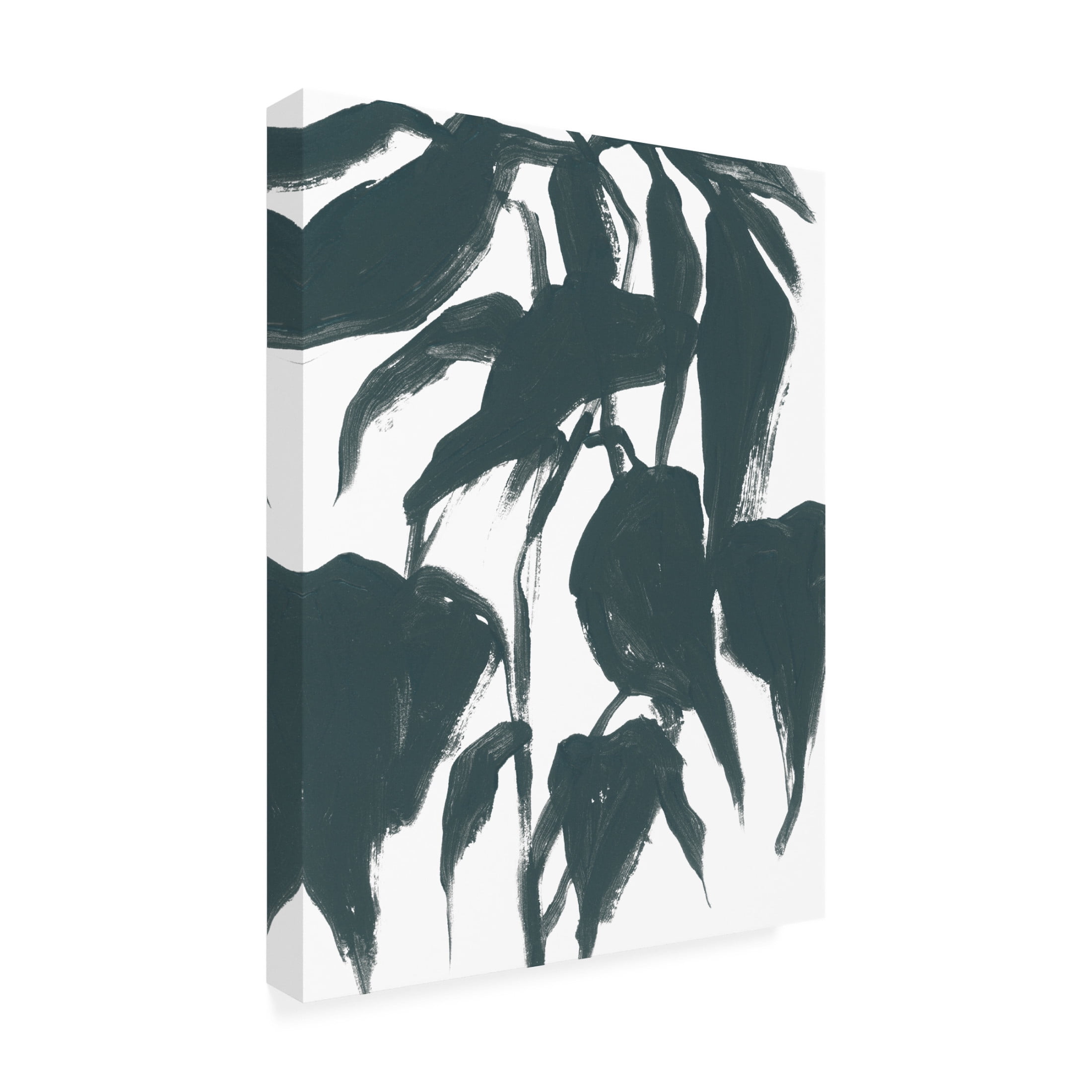 Trademark Fine Art June Erica Vess  Tropical Cameo I Canvas Wall Art