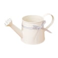 thumbnail image 2 of Metal Watering Can with Ribbon Bow,1 Gallon Watering Can Metal,Vintage Sprinkling Tin Watering Can for Indoor Outdoor Plants, Galvanized Steel Watering Cans for Flower, 2 of 5
