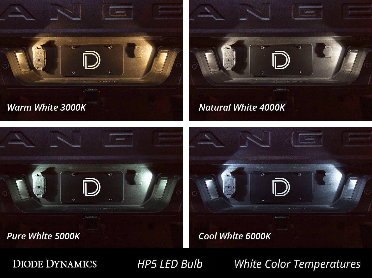 Diode Dynamics DD0028P Multi-Purpose Light Bulb