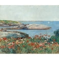 thumbnail image 3 of Hassam, Childe 17x15 Black Modern Framed Museum Art Print Titled - Poppies-Isles of Shoals, 3 of 5