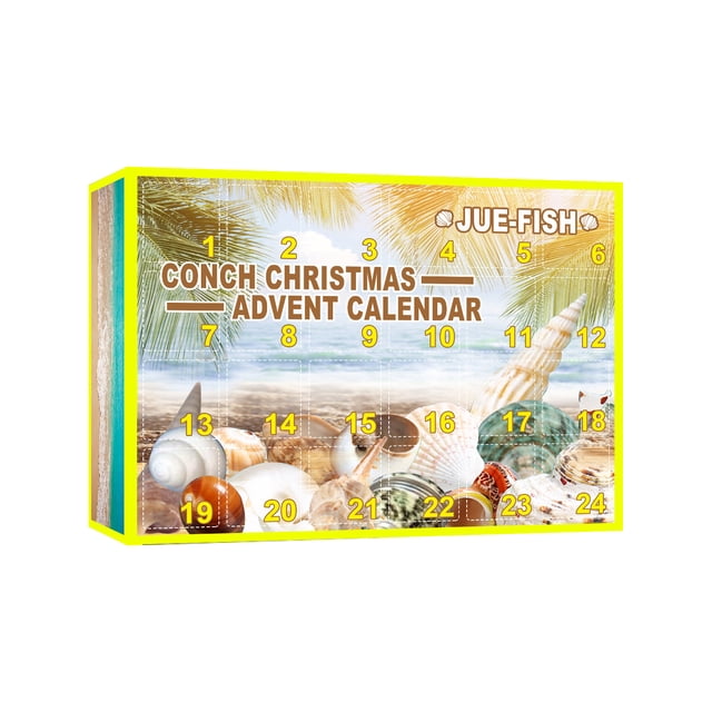 Birdeem Boîte Cadeau de Rangement Conque, Offre des Jouets Éducatifs pour Enfants, Cadeau Adapté