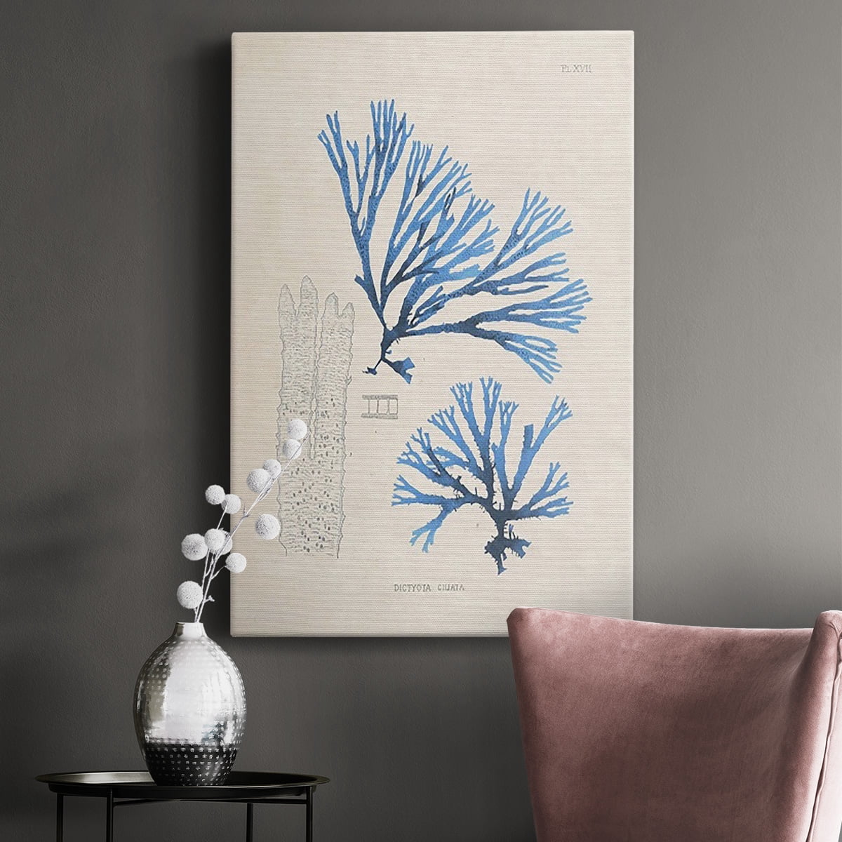 Blue Marine Algae V Premium Gallery Wrapped Canvas - Ready to Hang