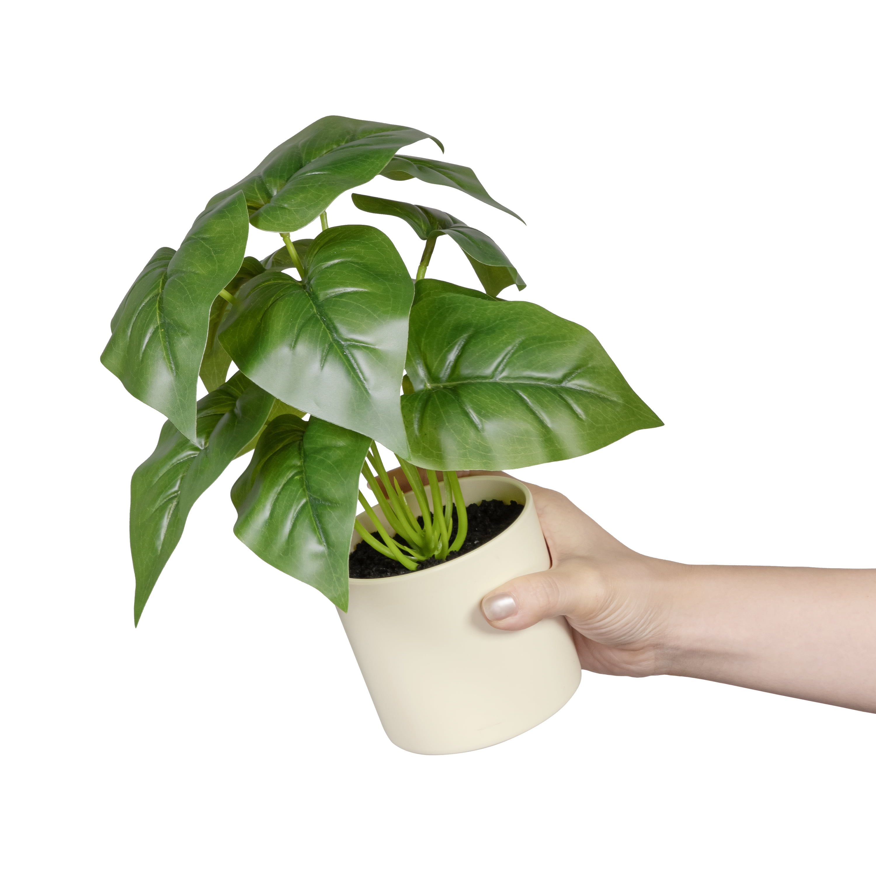 (3 pack) 10-inch x 4-inch Artificial Philodendron Leaf Plant in White Pot, Green, for Indoor Use, by Mainstays