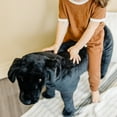 thumbnail image 6 of Melissa & Doug Giant Black Lab - Lifelike Stuffed Animal Dog (over 2 feet tall), 6 of 9