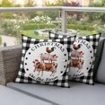 thumbnail image 4 of Christmas Animal Pillow Covers 2 Pack Farm Cow Pig Chicken Black White Plaid Pillowcase Waterproof Outdoor Throw Pillow Cover for Patio Garden Square Cushion 20”x20”, 4 of 9