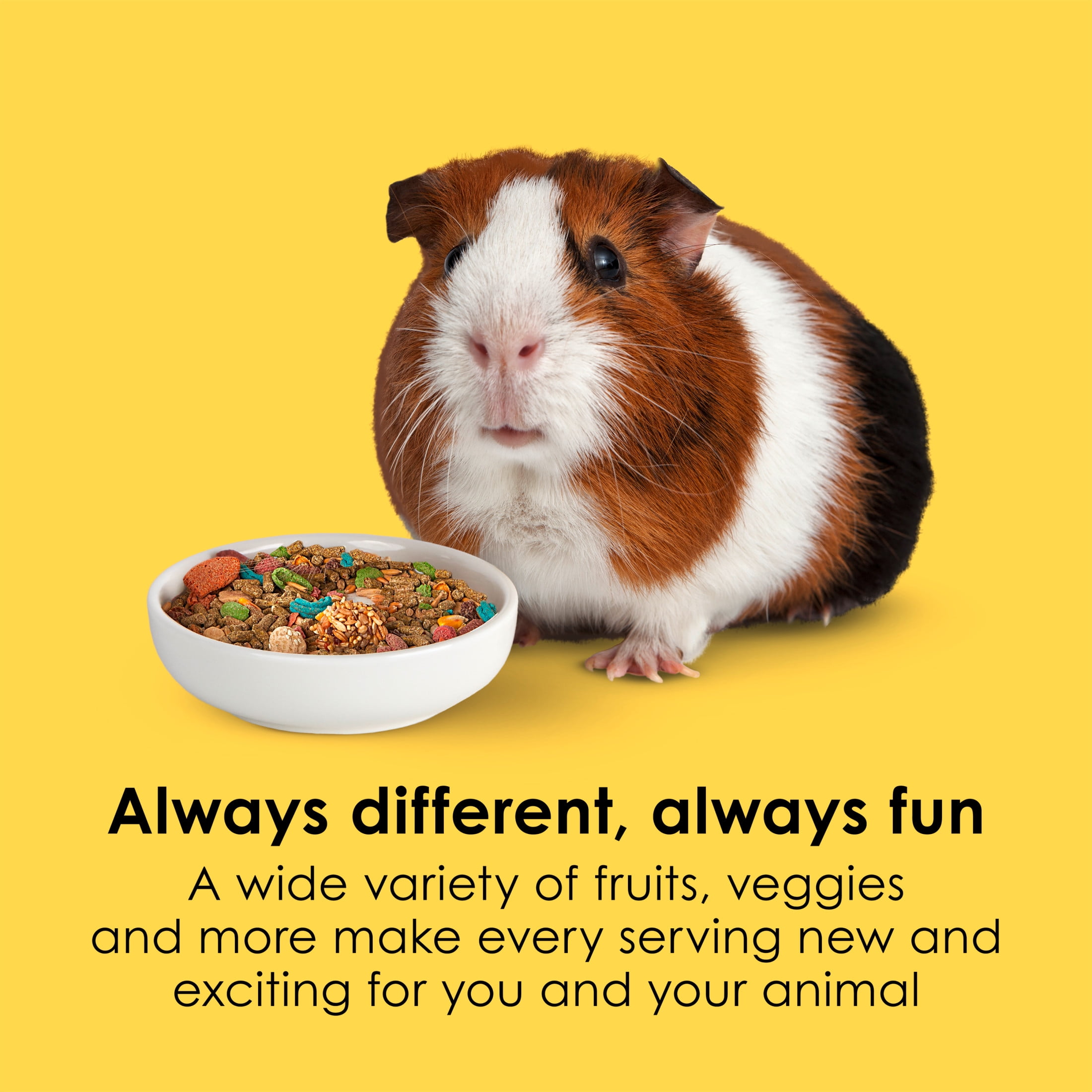 Kaytee Fiesta Guinea Pig Food, 25 Pounds