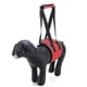 thumbnail image 2 of Arnés de elevación para perros, eslinga de soporte y recuperación, chaleco elevador de rehabilitación para mascotas, correas transpirables ajustables para personas mayores, discapacitadas, l, 2 of 4