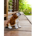 thumbnail image 1 of BASSET Chien Chiot Hurlant, 1 of 3
