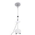 thumbnail image 2 of Sailing Lámpara de pie LED ajustable para salón de belleza, tatuajes, decoración de uñas - Protección e iluminación para los ojos - Enchufe europeo de 220 V, 2 of 9