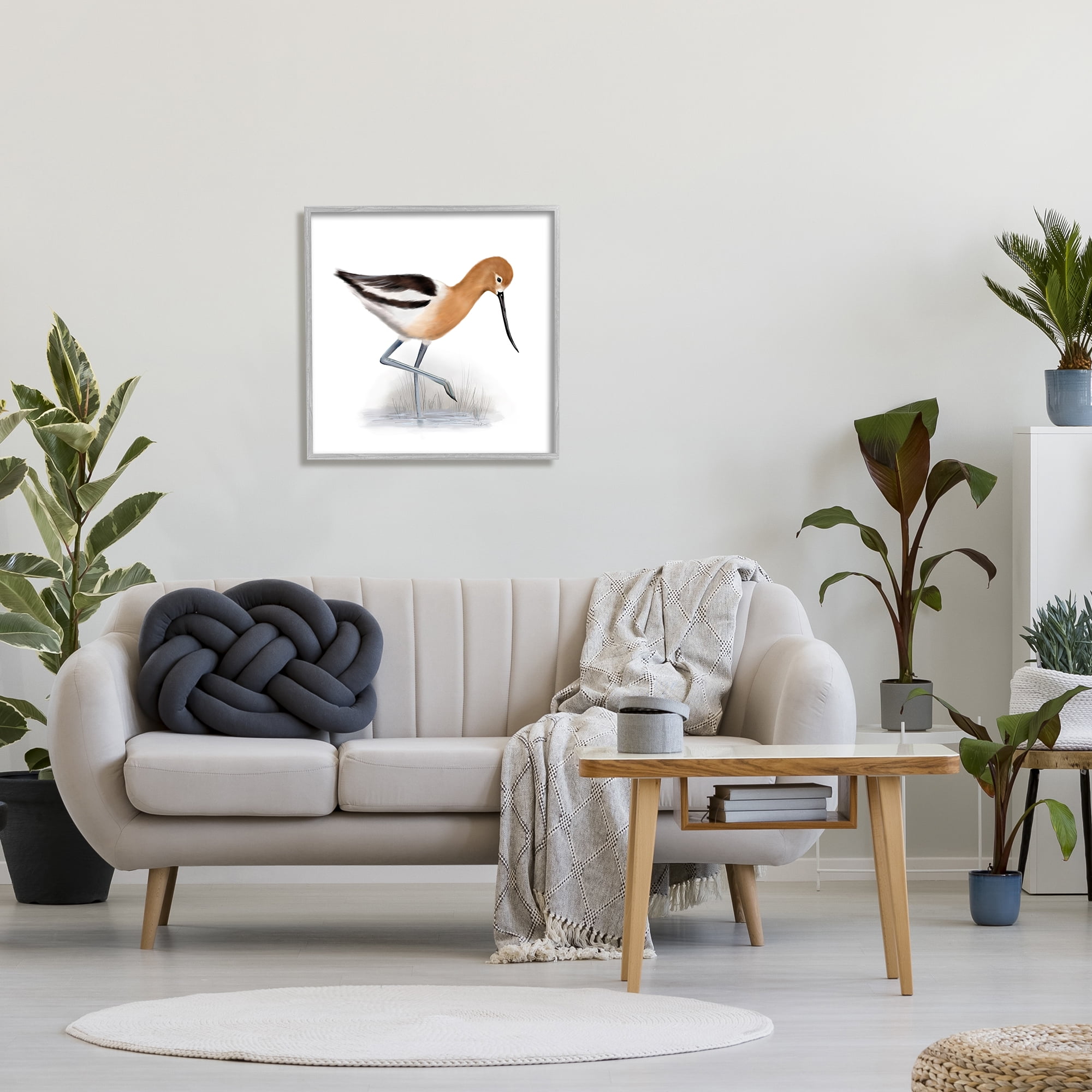 Stupell Industries Orange Feathered Avocet Wetland Bird Long Beak, 24 x 24, Designed by Studio Q