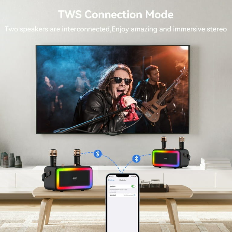 Karaoke Set 2 Microfoon Bluetooth Professional