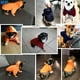 thumbnail image 3 of Ropa para perros pequeños ropa para perros pequeños ropa cálida para perros abrigo cachorro traje ropa para mascotas perro sudaderas con capucha Chihuahua 45, 3 of 4