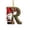 R, variant on romoty Personalized Christmas Letter Ornaments, Cute Gnome Kitten Initial Pendants, 2D Flat Acrylic Monogram Tree Car Mirror Decor