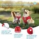 thumbnail image 3 of Cat harness escape-proof cat leash with harness for cats soft cats, 3 of 5