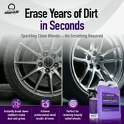 Nanoskin SPEEDY BRITE Professional Wheel & Tire Acid Cleaner 1 Gallon - Car Wash Wheel Cleaning Spray For Car Detailing | Works with Wheel Brush & Tire Brush | Melt Away Rust, Brake Dust, Road Grim