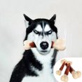 thumbnail image 5 of El perro mastica el tocino material durable seguro del cepillo de dientes del perro que limpia el cuidado oral condimentado no tóxico, 5 of 5
