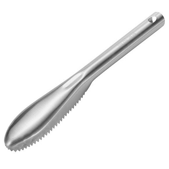 Tooth Profile Fish Scale Scarper, Fish Scaler Tool with Specific Grooves for Safe and Efficient Scaling, Non-Slip Ergonomic Handle Ensures a Secure Grip, High-Quality Stainless Steel for Longevity