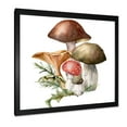 thumbnail image 2 of Designart 'Autumn Composition With Mushrooms' Traditional Framed Art Print, 2 of 4