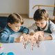 thumbnail image 5 of Kit de experimentos científicos para niños | Juguete educativo STEM | Ensamblaje manual para aprendizaje práctico | Materiales seguros | Fomenta el pensamiento crítico y la curiosidad | Regalo para, 5 of 5