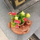 thumbnail image 5 of Bandeja para plántulas con forma de nutria, maceta de interior, maceta pequeña única para suculentas, maceta decorativa para jardín, bandeja para plántulas., 5 of 6