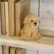 thumbnail image 4 of Labradoodle Small Plush Puppy, Dog Stuffed Animal, 7.8 inch, 4 of 5