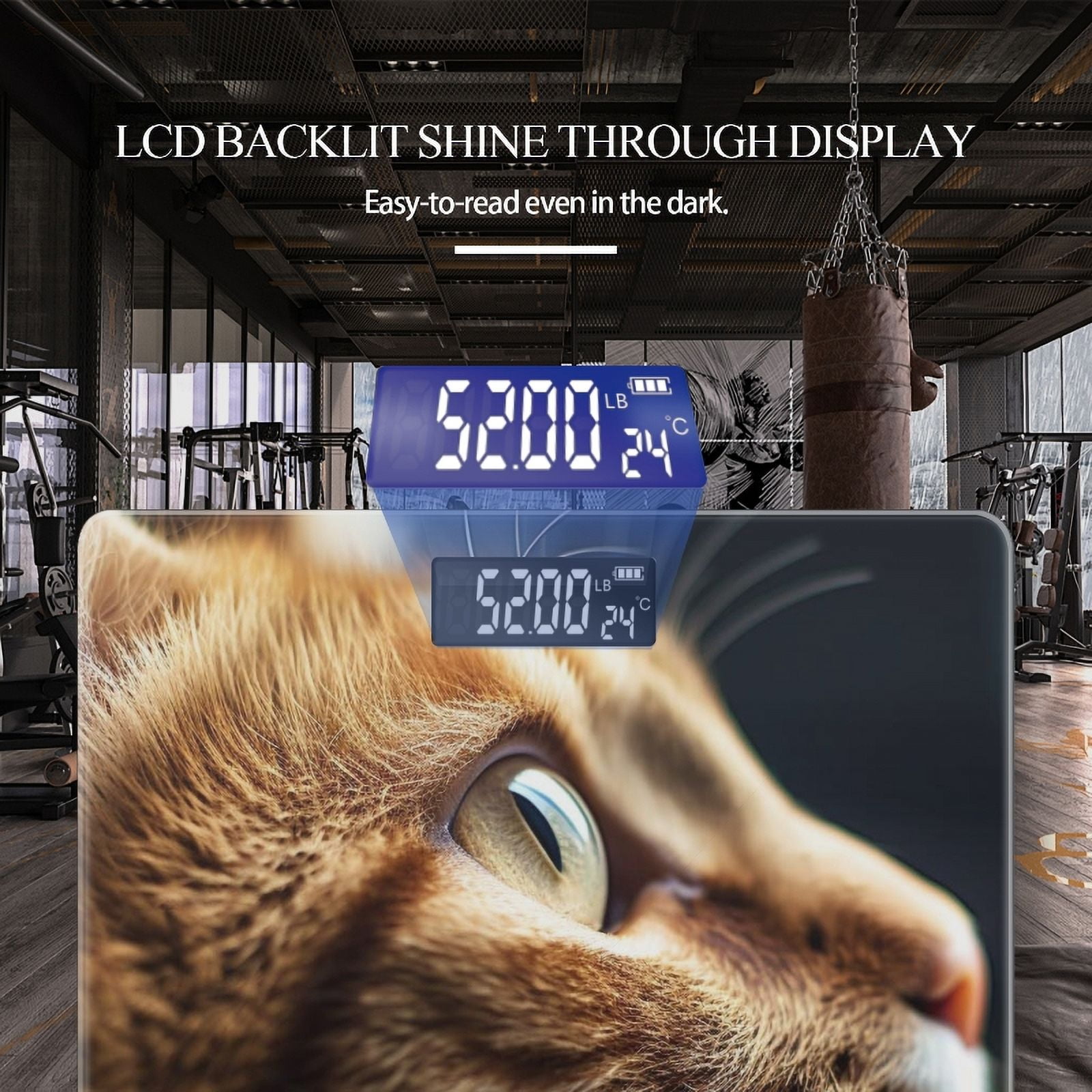 High Precision Body Weight Scale Smart Bathroom Scales with Large LCD Display(400lbs),Decorative for Bedroom-Orange Cat'S Face Looking Out The Window