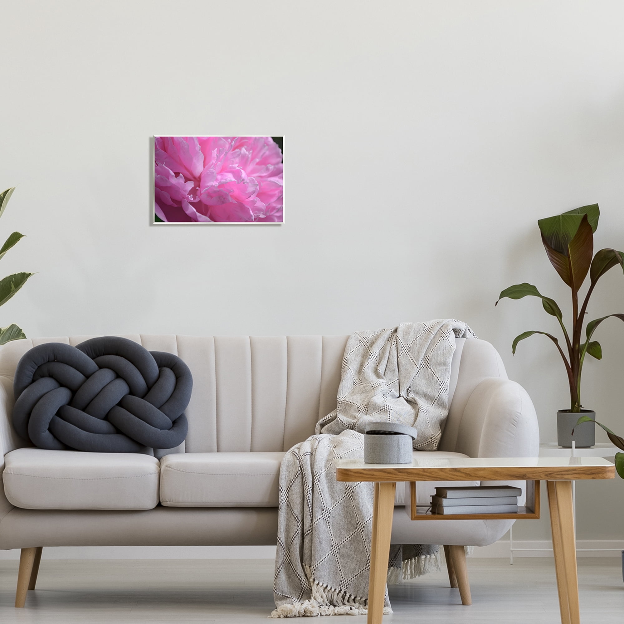 Stupell Industries Pink Carnation Photography Botanical & Floral Photography Unframed Art Print Wall Art, 15 x 10