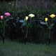 thumbnail image 2 of Lámpara solar 3 en 1 con 6 LED y rosas, ideal para jardín, patio, camino (rosa, blanco y amarillo), 2 of 6