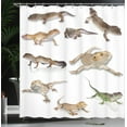 thumbnail image 3 of Ambesonne Animal Print Shower Curtain, Prehistoric Reptile, 69"Wx70"L, Multicolor, 3 of 4